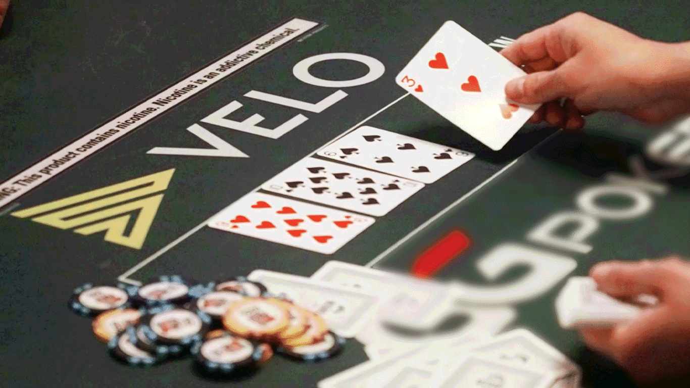 $1,000 No-Limit Hold'em Ladies Championship